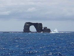 Darwin Arch