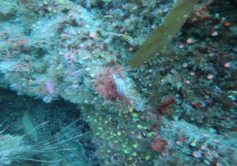 IMG-20261013-WA0007