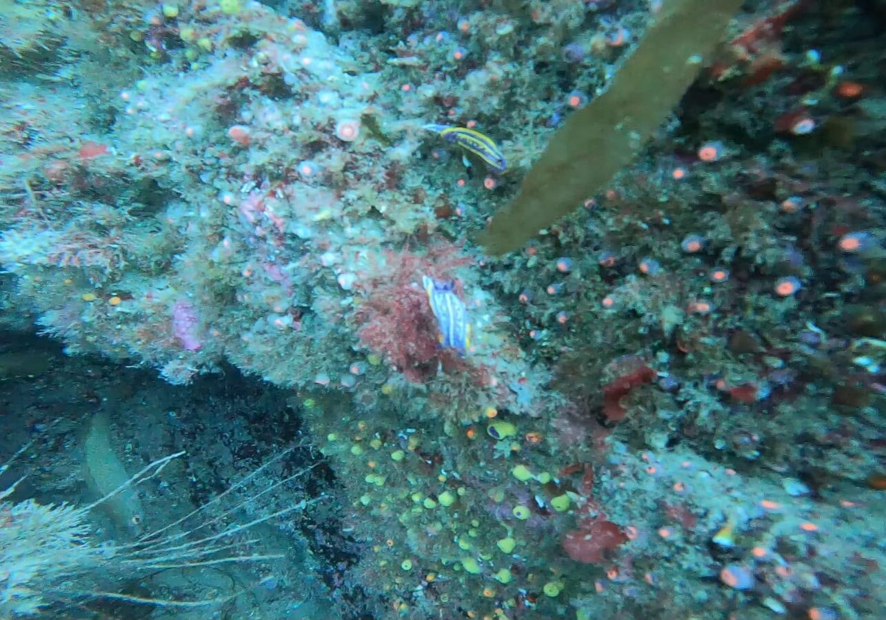 IMG-20261013-WA0007