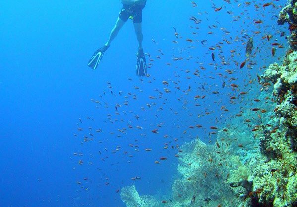 Red Sea