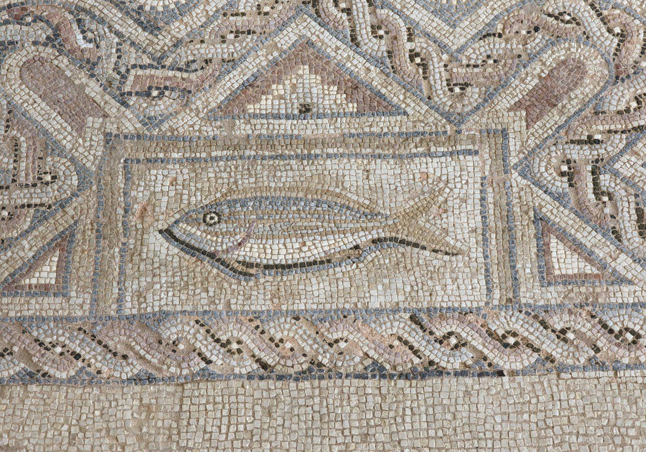 One of the Nea Papho mosaics